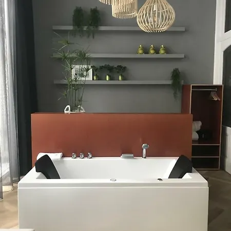 Fitz Roy Urban Hotel, Bar And Garden 4* 马斯特里赫特