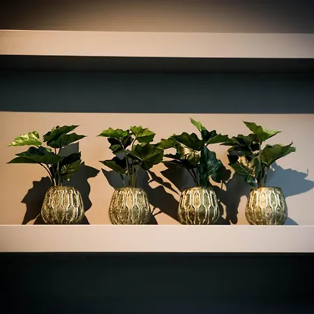 ホテル Fitz Roy Urban Hotel, Bar And Garden マーストリヒト